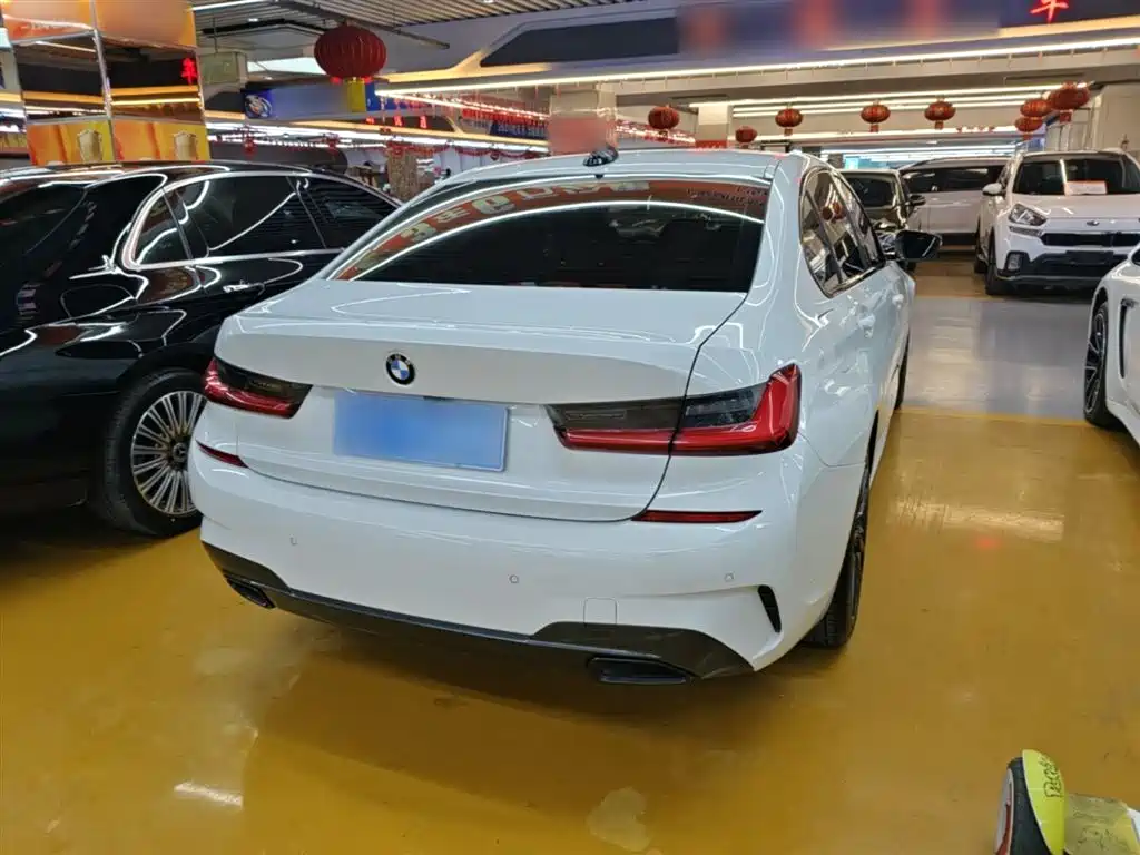 BMW 3 Series 2020 325Li M Sport Black Night Package фото 7