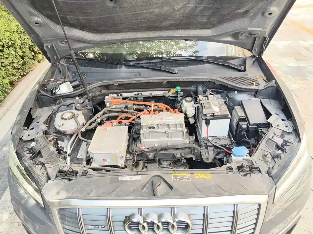Audi Q2L e-tron 2021 2019 Q2L e-tron Pure Electric Smart Enjoyment
