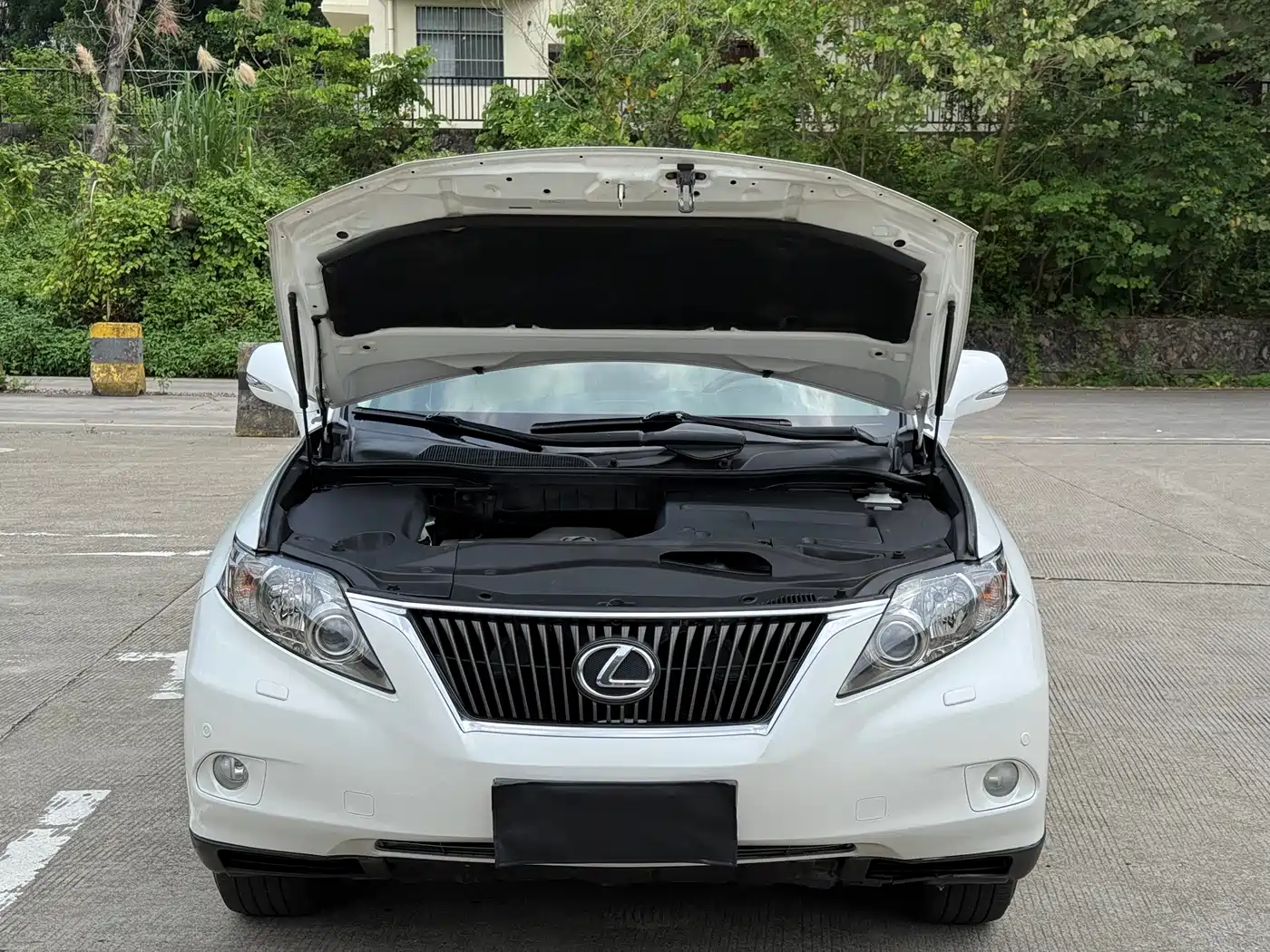 Lexus RX Classic 2012 270 Luxury Edition фото 14