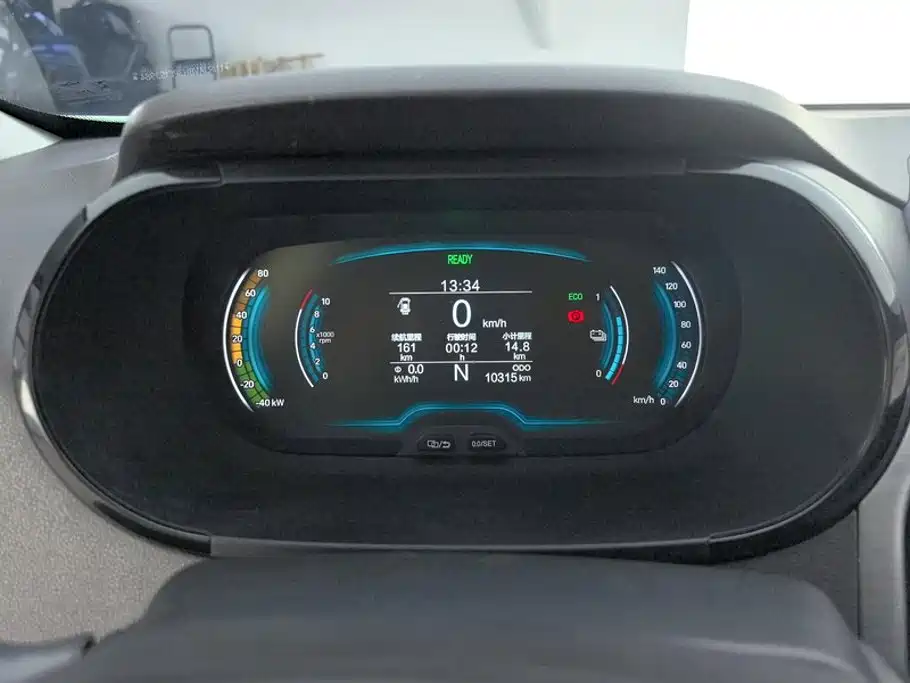 QQ New Energy Little Ant 2024 2023 251km True Love Edition LFP