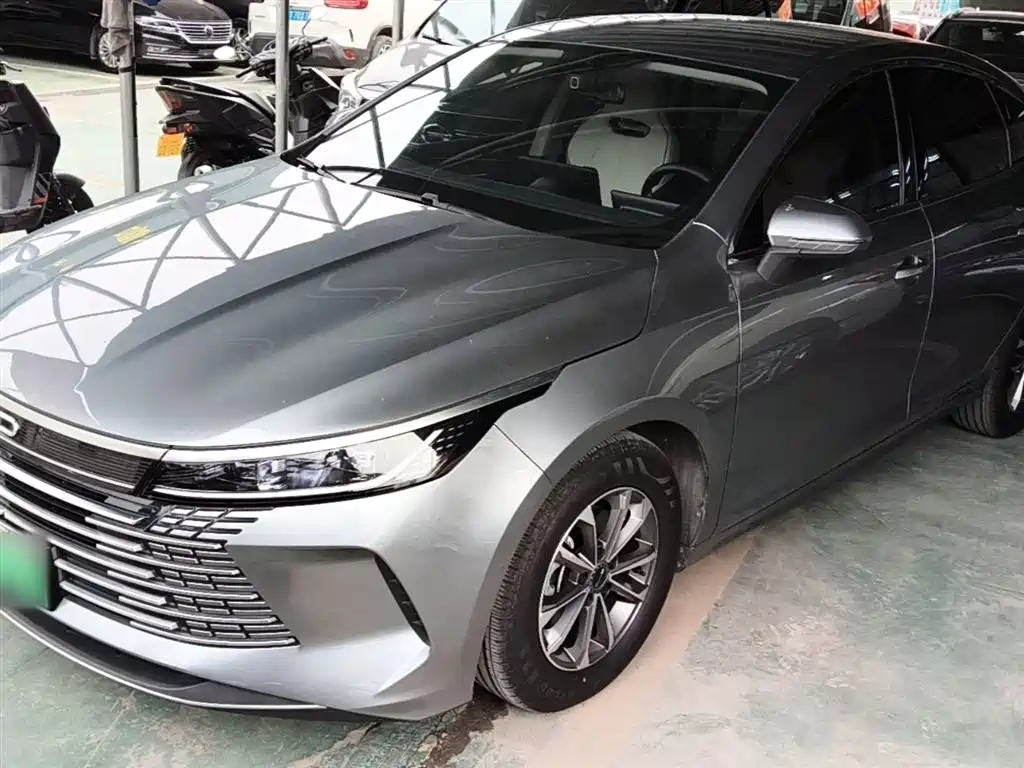 BYD Destroyer 05 2024 Glory Edition DM-i 55KM Luxury фото 2