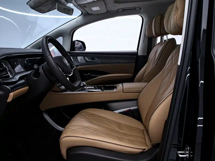 Denza D9 2024 DM-i 980 AWD Premium фото 12