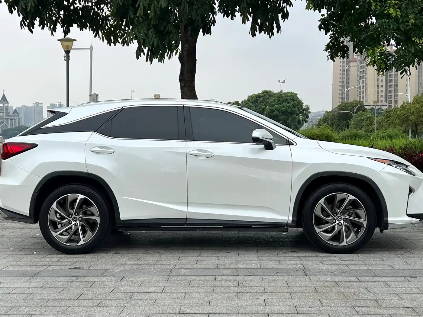 LEXUS RX