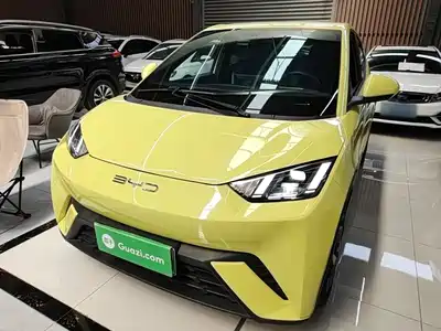 BYD Seagull