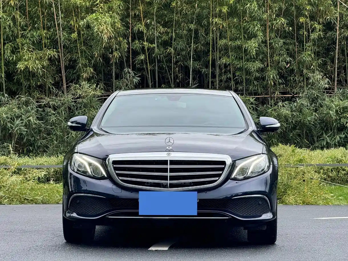 Mercedes-Benz E-Class 2020 E 300 L Fashion фото 2