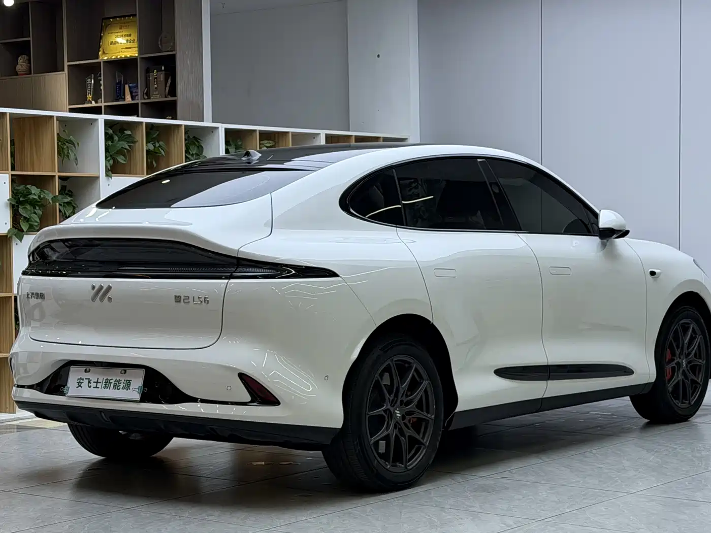 ZHIJI AUTOMOBILE ZHIJI LS6