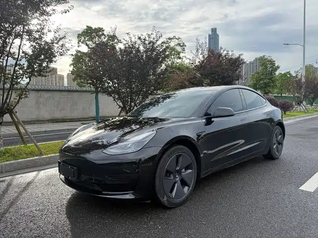 Tesla Model 3 2022 Model Rear-Wheel Drive Version