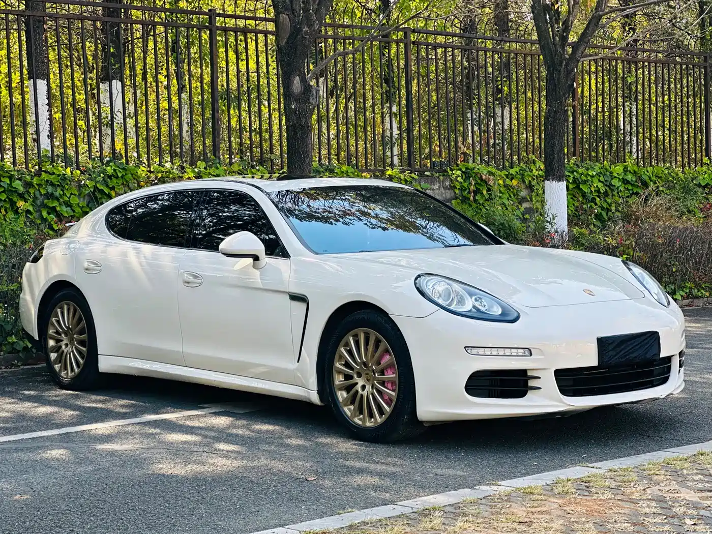 Porsche Panamera 2016 Panamera Executive Edition 3.0T фото 3