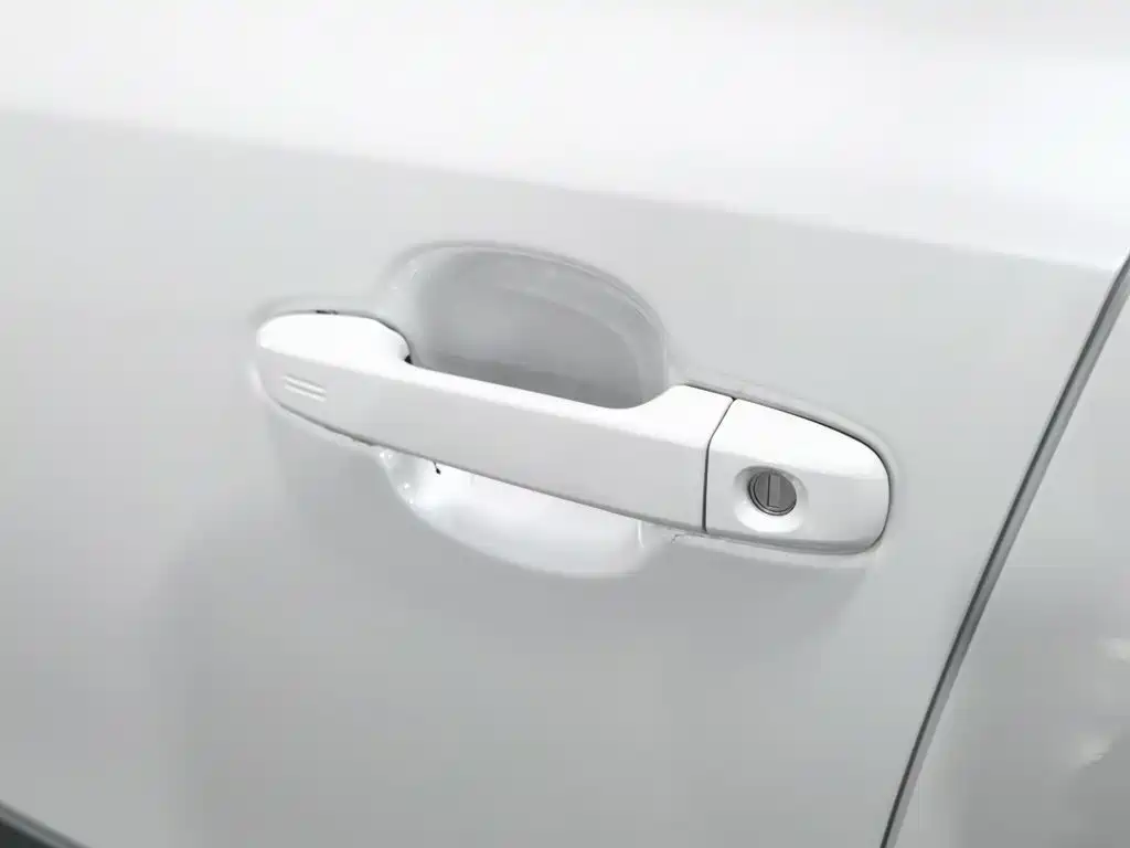 Toyota IZOA 2021 2021 2.0L Yixiang Edition