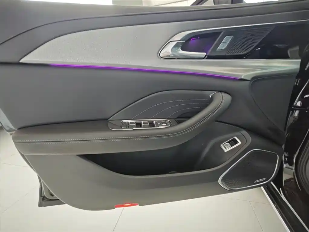 Hongqi H5 2023 2.0T Auto Smart Connect Flag Comfort фото 17