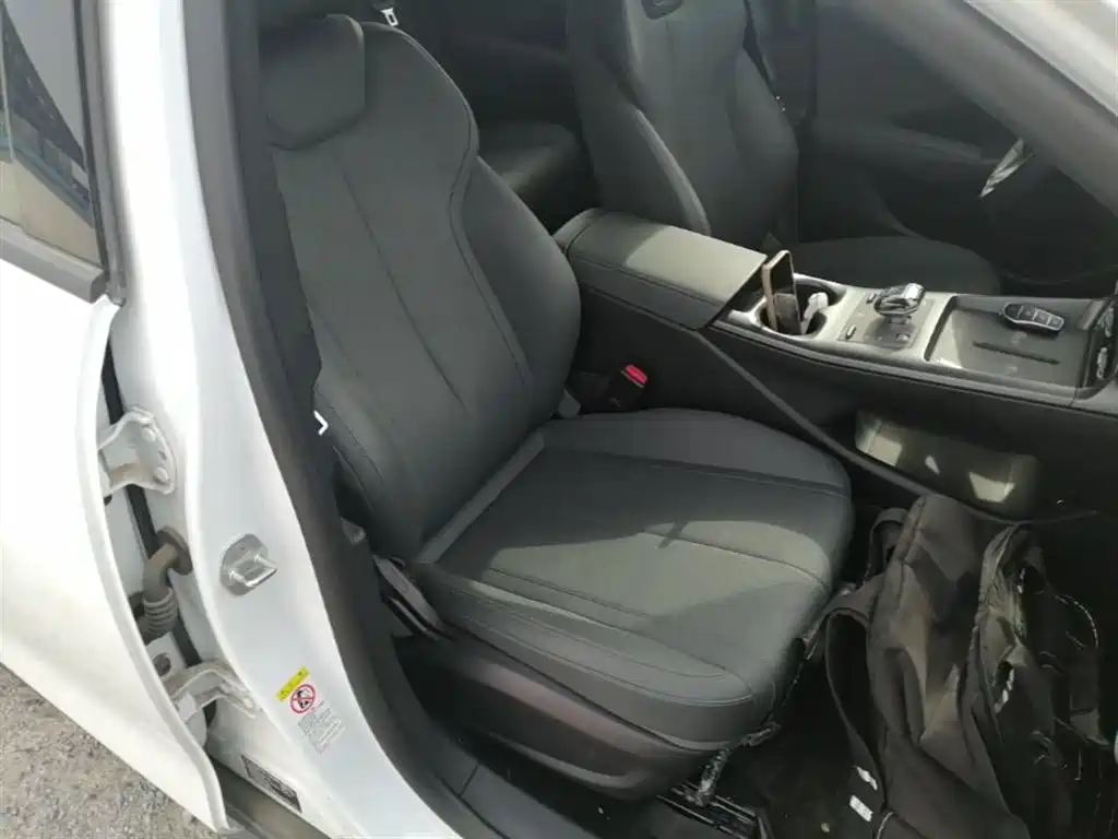 BYD Qin PLUS 2025 DM-i Smart Drive 55KM Leader фото 25