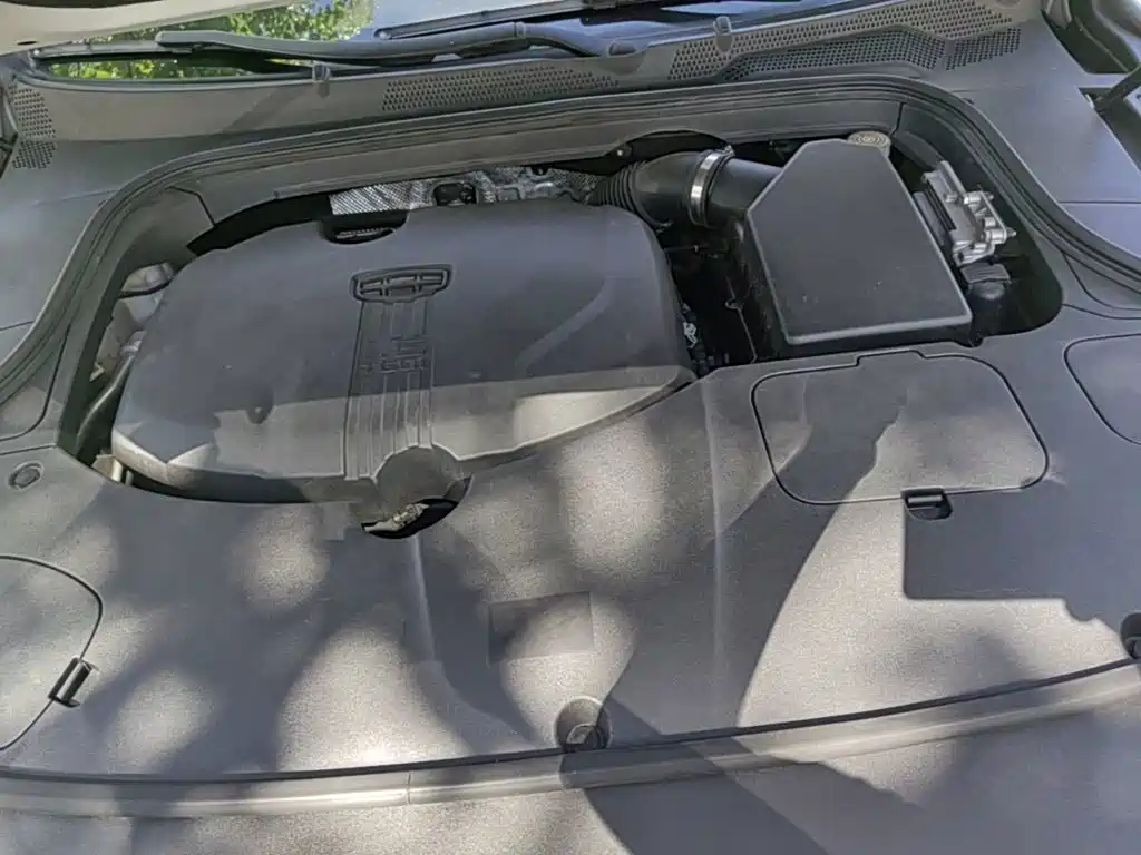 Фото 25 - Geely Borui