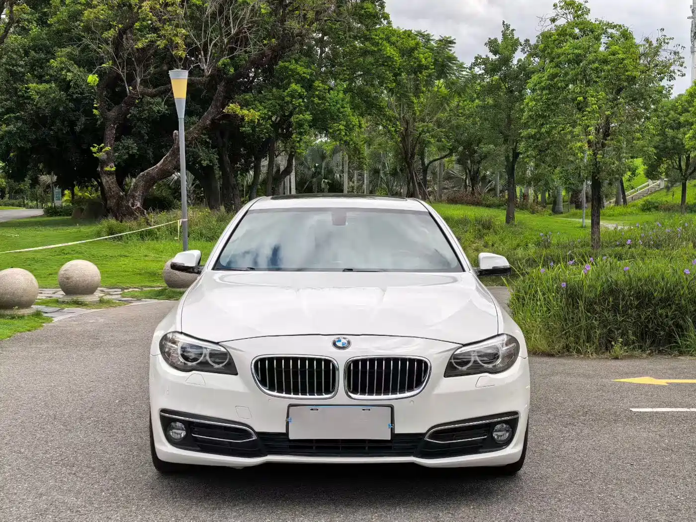 BMW 5 Series 2014 525Li Luxury Design Package