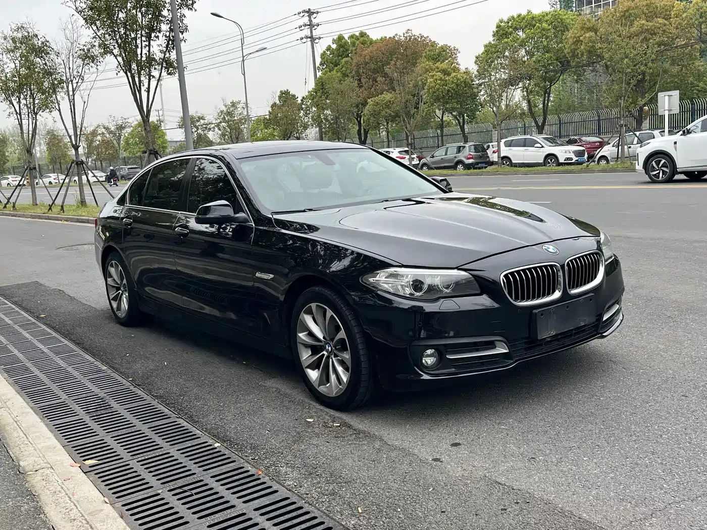 BMW 5 Series 2017 525Li Leading Edition фото 11