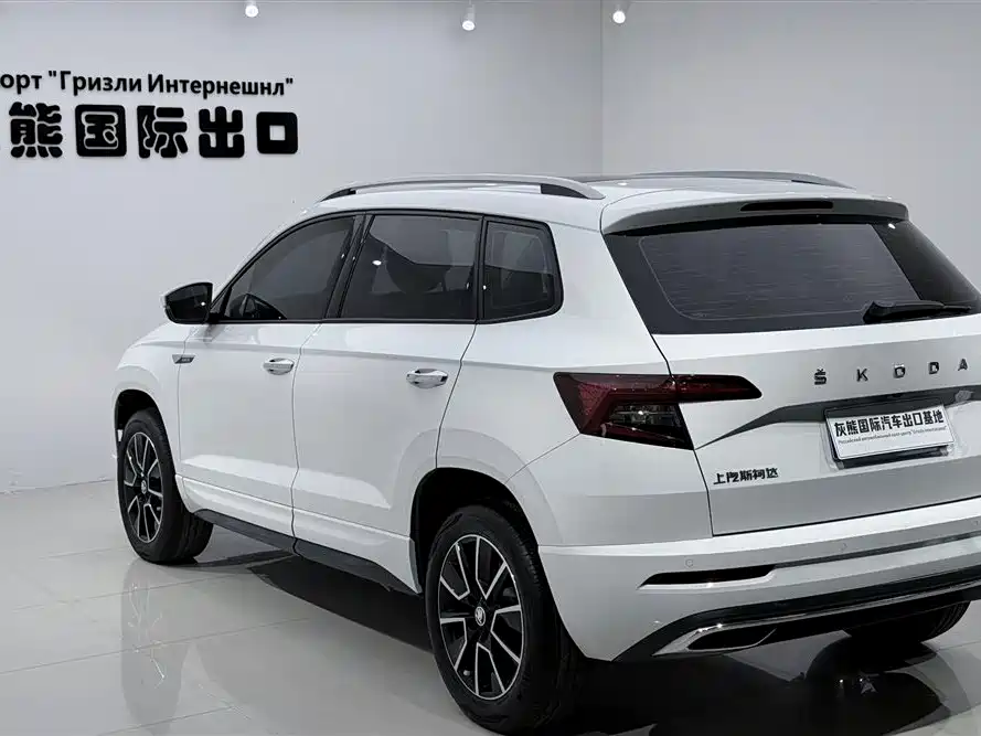 Škoda Karoq 2023 TSI280 Premium Edition фото 6