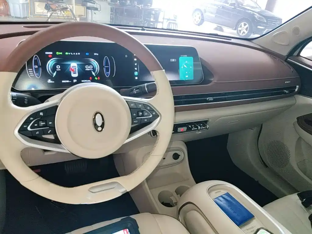 Ora Good Cat 2025 2024 401km Luxury