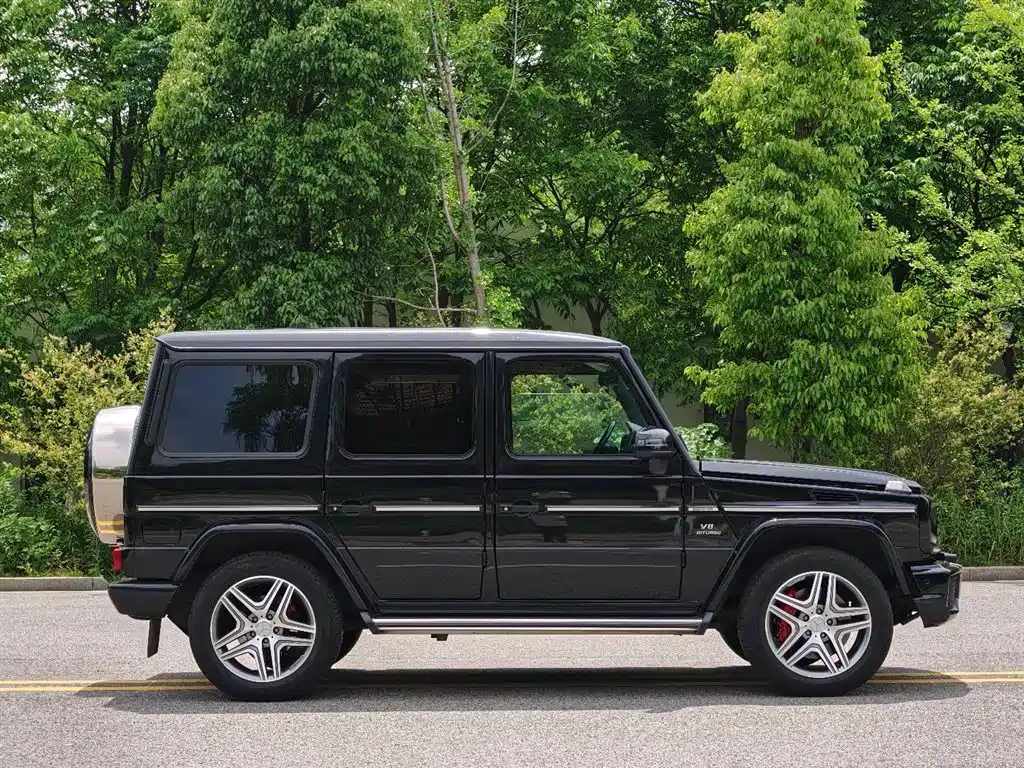 Mercedes-Benz G-Class AMG 2013 AMG G 63 фото 5