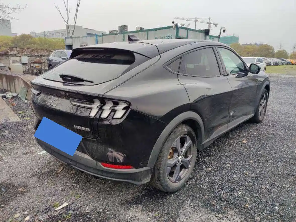 Ford Mustang Mach-E 2022 2021 Leap World RWD (Standard Range)