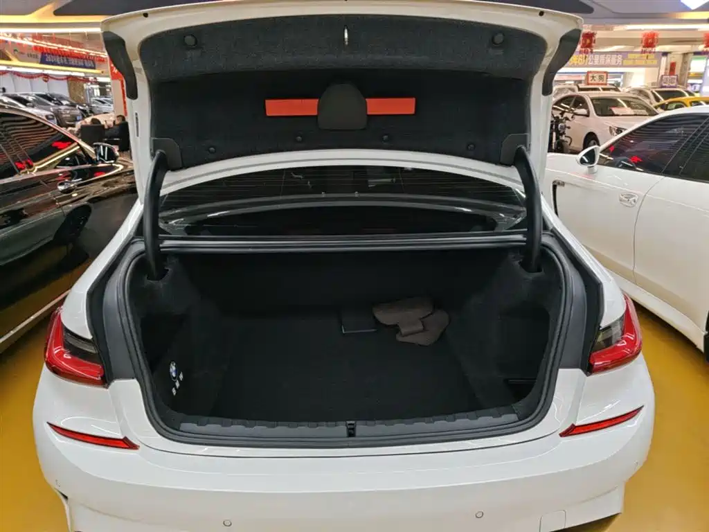 BMW 3 Series 2020 325Li M Sport Black Night Package фото 19