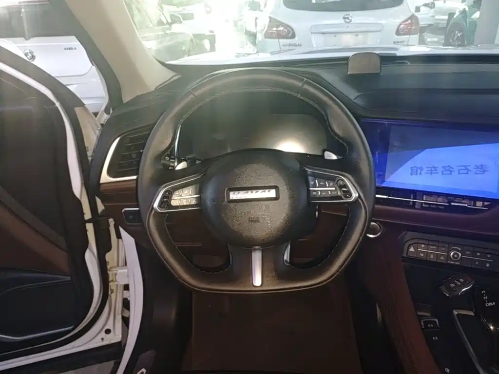 Фото 11 - Haval F7