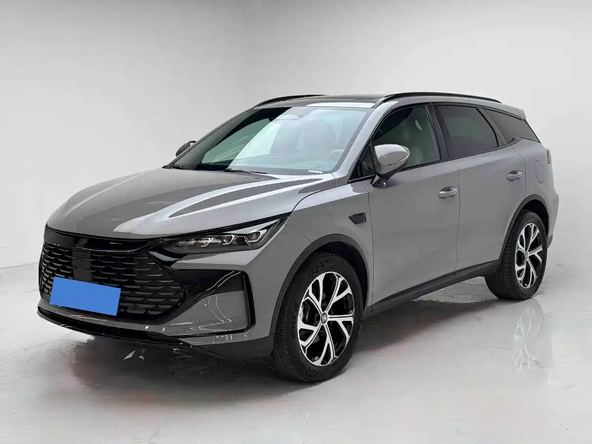 BYD Tang New Energy 2025 2025 Smart Driving Edition DM-i 115KM Premium