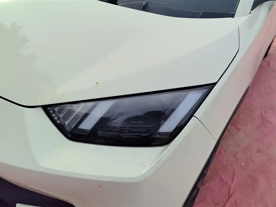 BYD Seagull 2024 Glory Edition 305km Freedom Edition фото 5