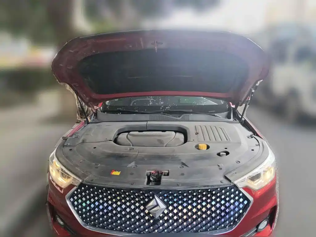 Baojun RC-6 2019 2019 1.5T CVT 24-hour Online Premium