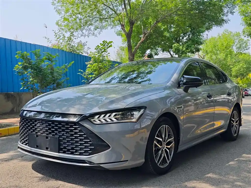 BYD Qin PLUS 2021 DM-i 55KM Flagship