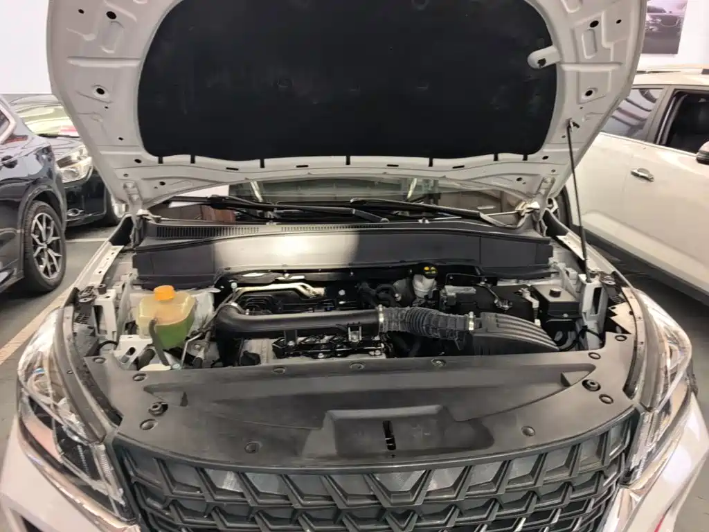 Dongfeng Fengguang Fengon 500 2023 2022 1.5L Manual Enjoyment Edition