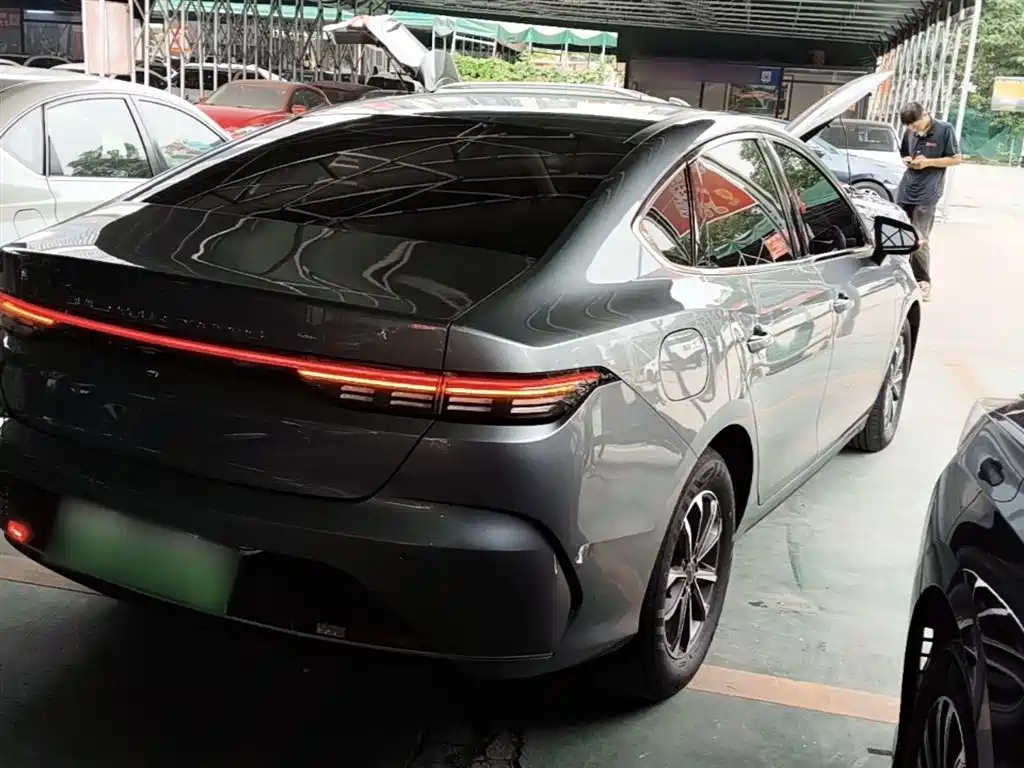 BYD Destroyer 05 2024 Glory Edition DM-i 55KM Luxury фото 7