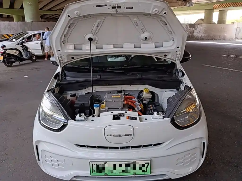Roewe Kaiwei CLEVER 2023 2022 311km Vitality Bobo Edition