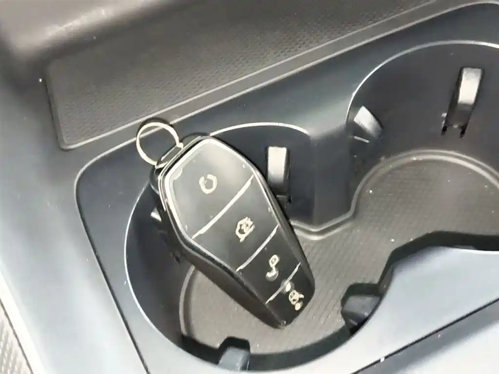 BYD Destroyer 05 2024 Glory Edition DM-i 55KM Luxury фото 9