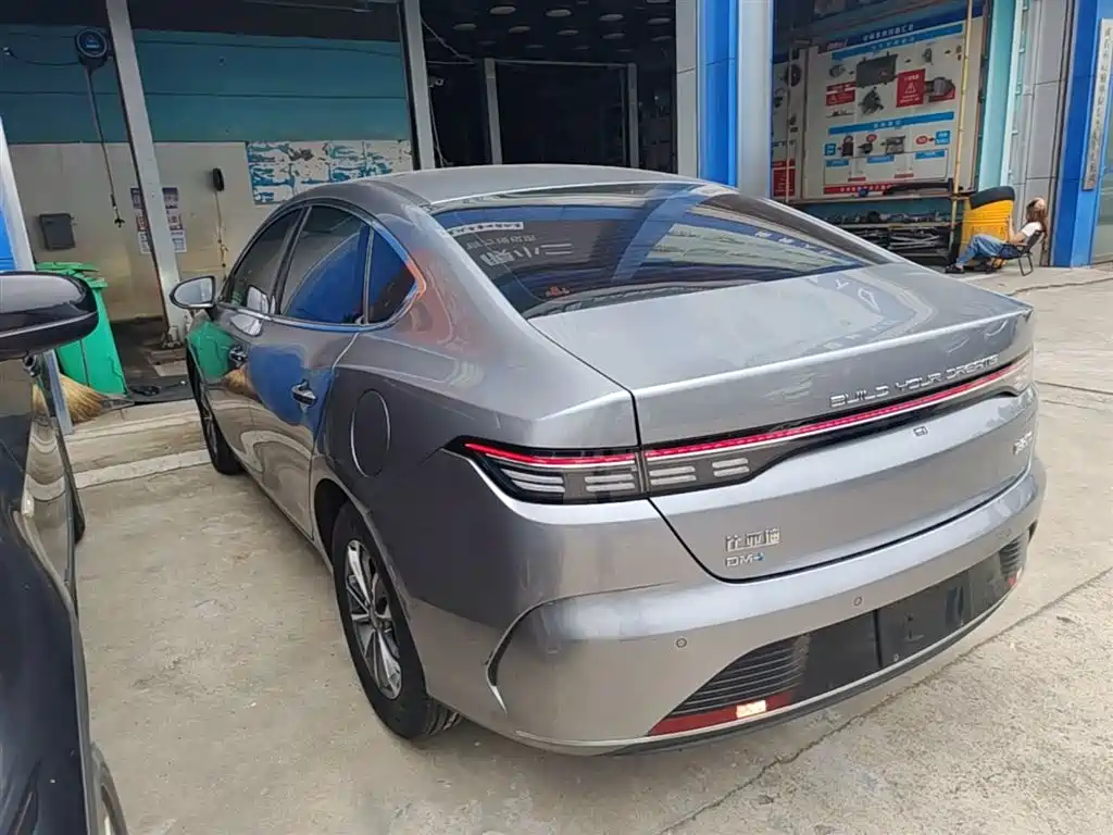 BYD Destroyer 05 2023 Champion Edition DM-i 55KM Luxury фото 5