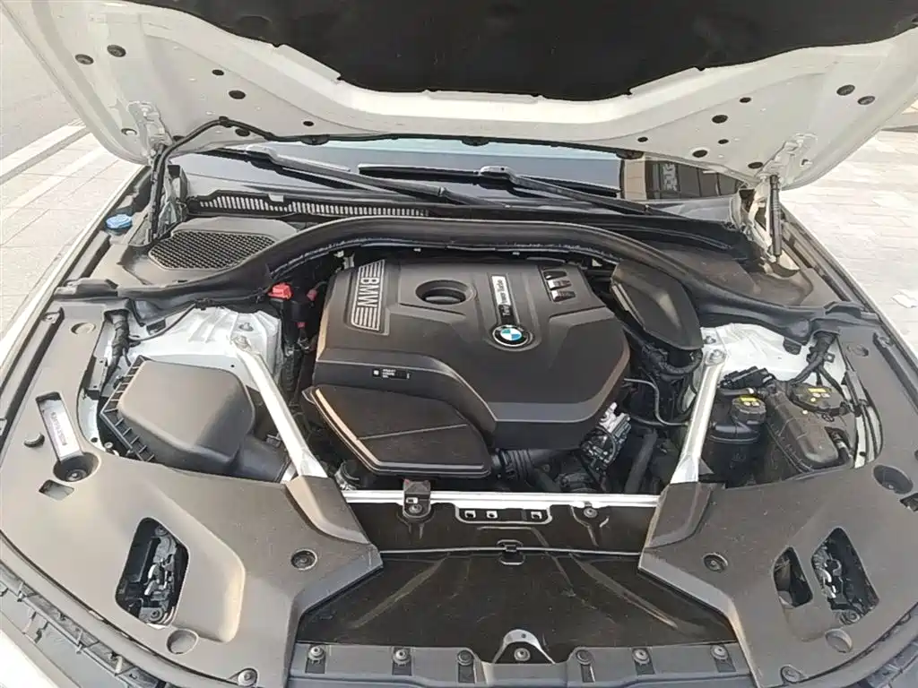 BMW 5 Series 2018 Facelift 530Li Exclusive Luxury Package фото 20