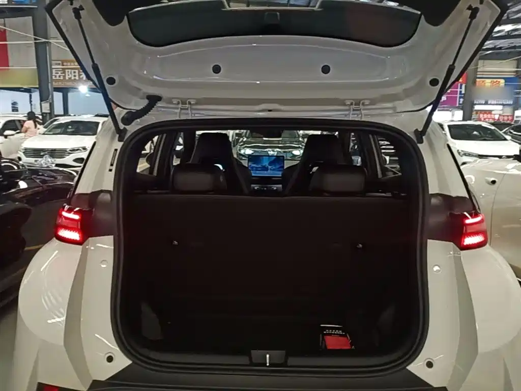 BYD Seagull 2025 Smart Drive Edition 305km Freedom Version фото 19