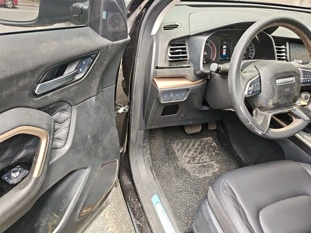 Haval H6 2020 1.5GDIT Automatic Platinum Champion Edition фото 14