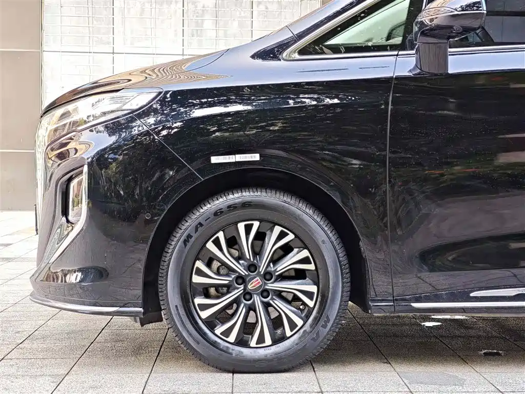 Hongqi HQ9 PHEV 2024 Model 2.0T AWD Luxury Edition фото 5