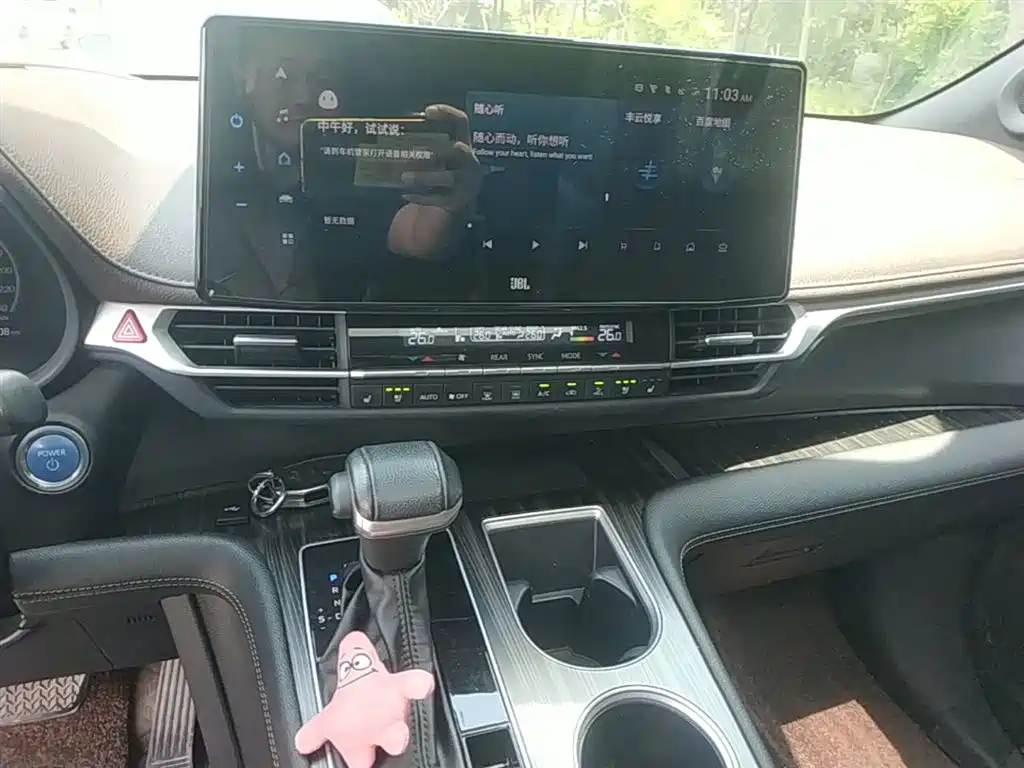 Toyota Sienna 2021 2.5L Hybrid Platinum Edition фото 13