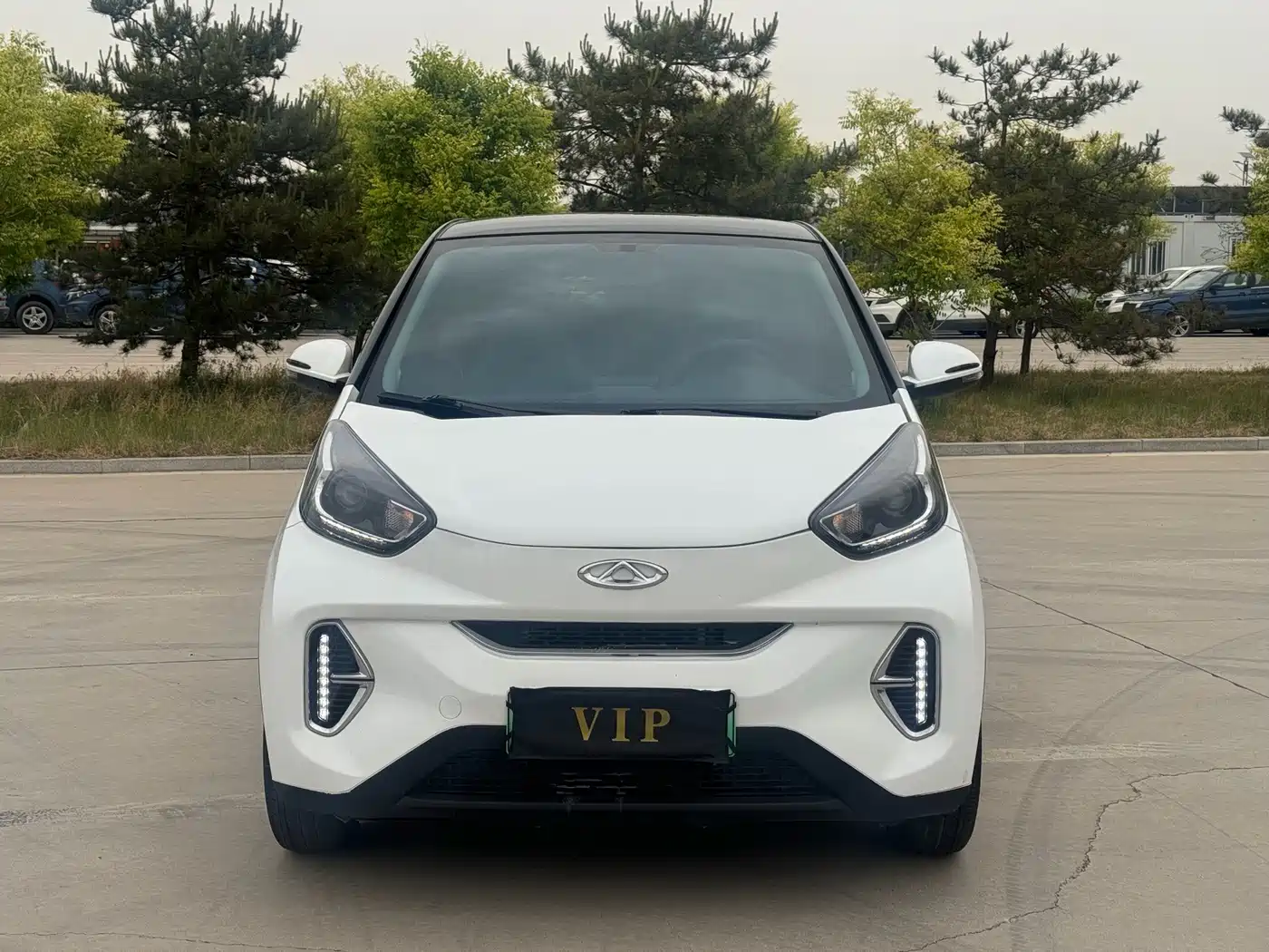 QQ New Energy Little Ant 2024 2024 Youth Edition 251km True Love Version 25.05kWh