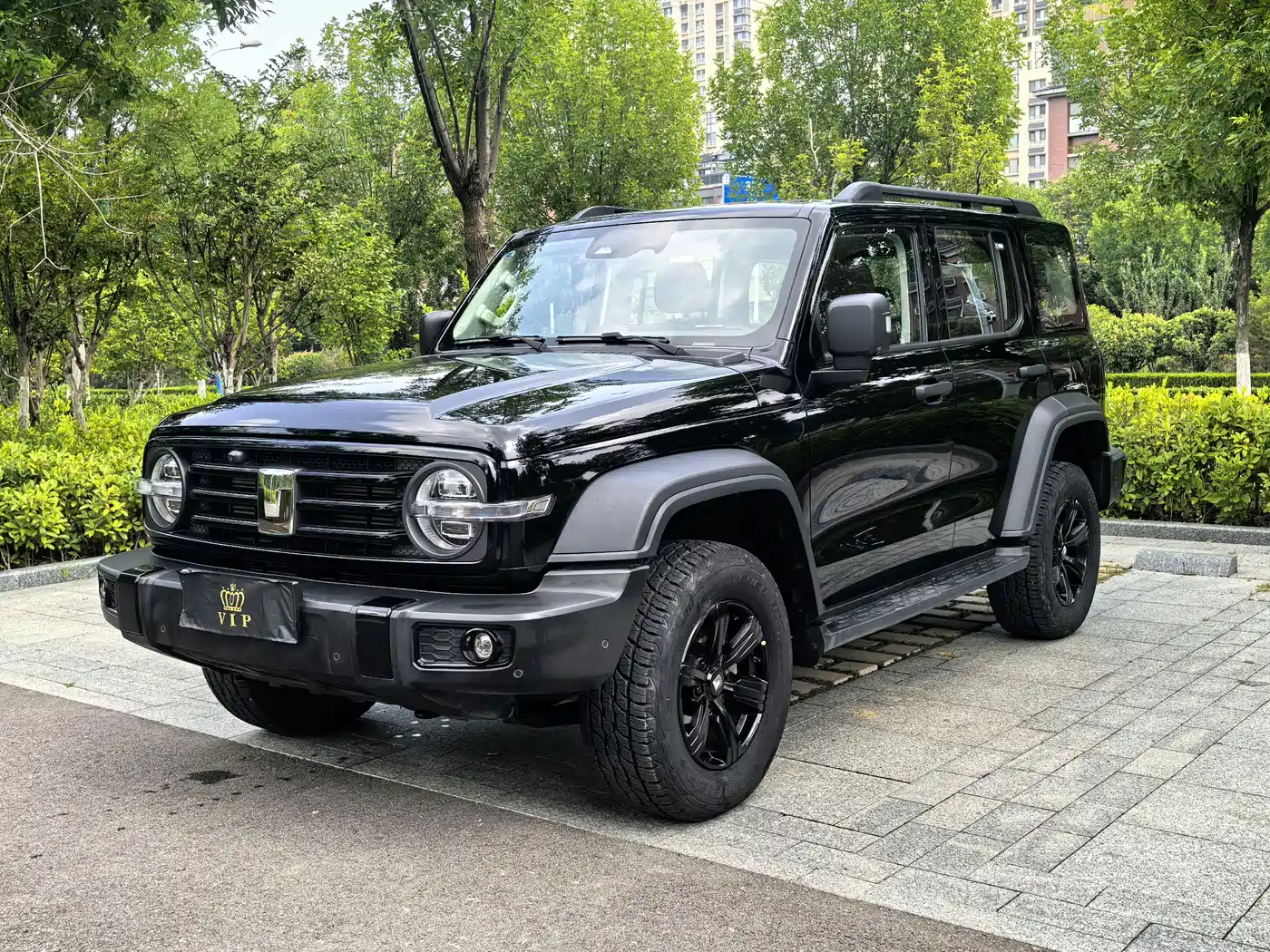 Tank 300 2.0T Gasoline Conqueror