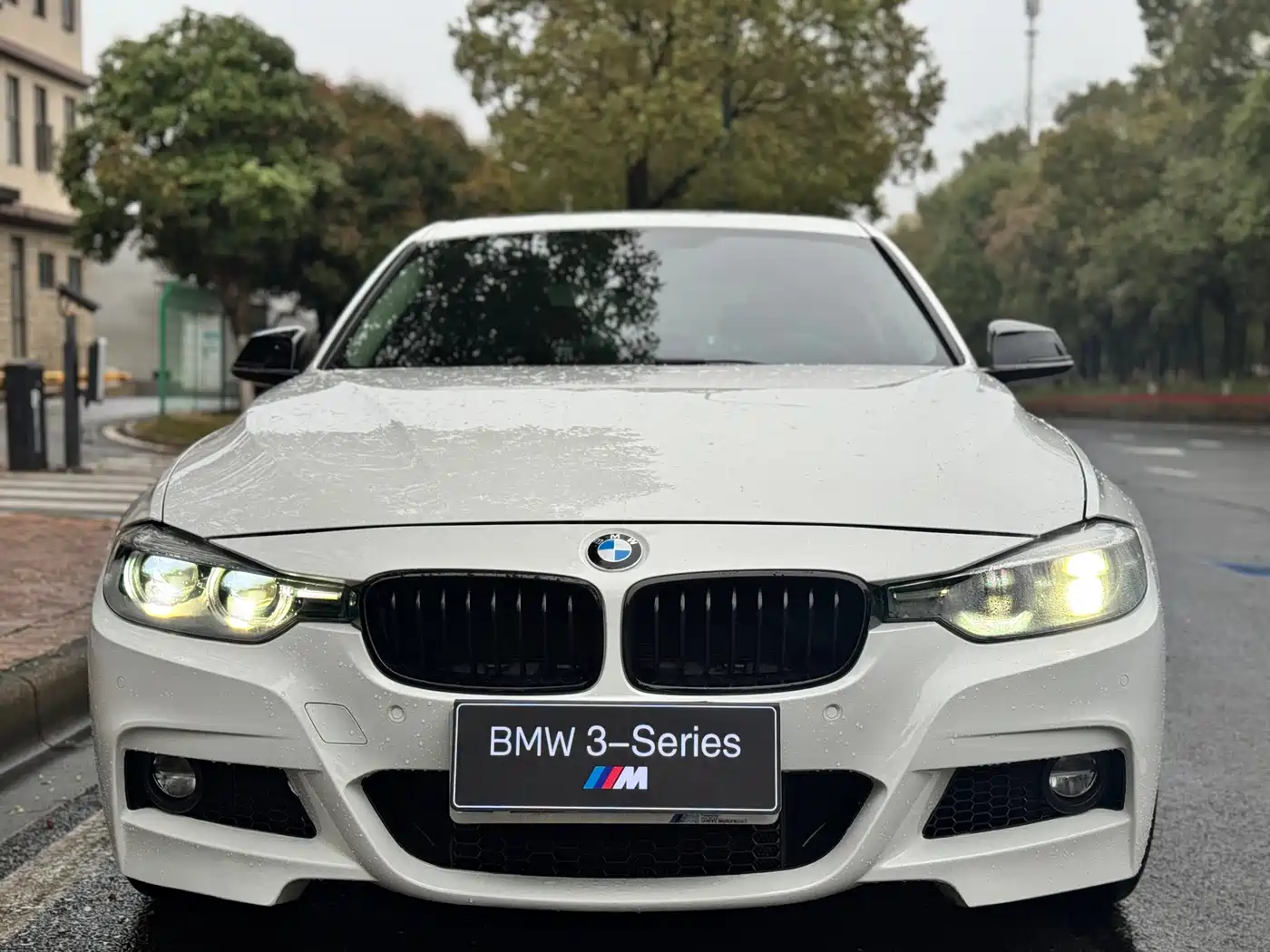 BMW 3 Series 2018 320Li M Sport Black Night Edition фото 2