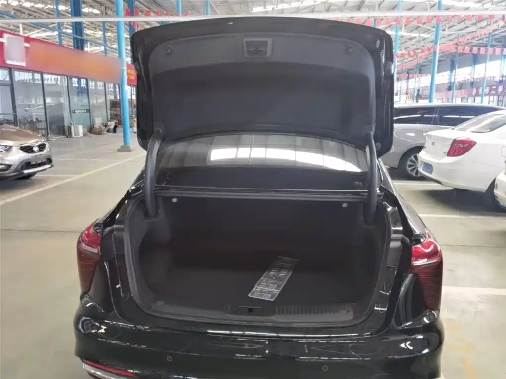 Hongqi H5 2025 2.0T Automatic Flag Celebration 500,000 Units Anniversary Edition фото 19