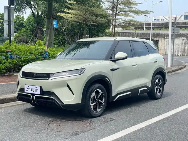 BYD Yuan UP 2024 401KM Leading Edition
