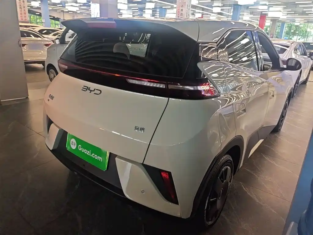 BYD Seagull 2025 Smart Drive Edition 305km Vitality Version фото 7