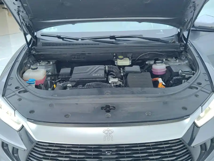 BYD Song Pro New Energy 2024 Glory Edition DM-i 110KM Excellence фото 10
