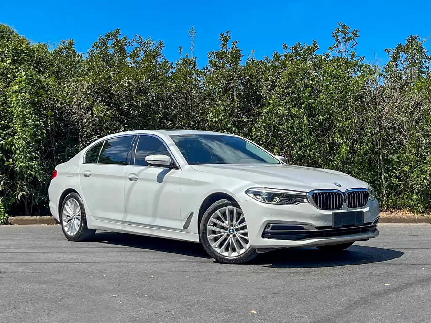 BMW 5 Series 2020 530Li Leading Luxury Package фото 3