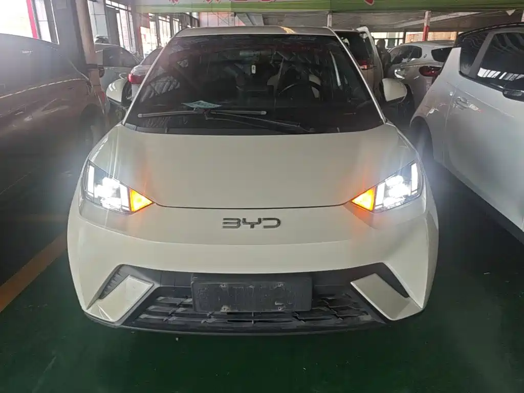 Фото 3 - BYD Seagull
