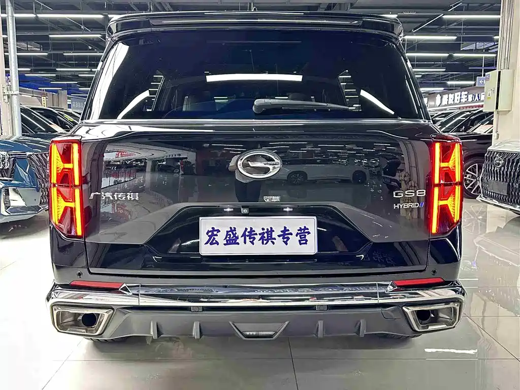 GAC Trumpchi Trumpchi GS8 2022 Dual Engine Series 2.0TM 2WD Premium Edition (6-Seater) фото 38