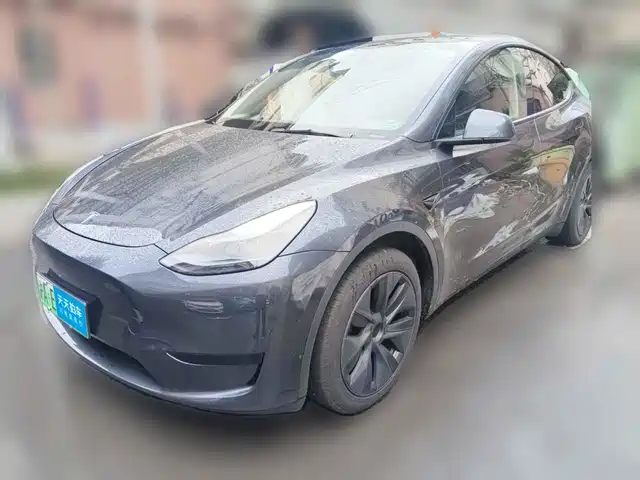 Tesla Model Y 2024 Rear-Wheel Drive Version — фото 1