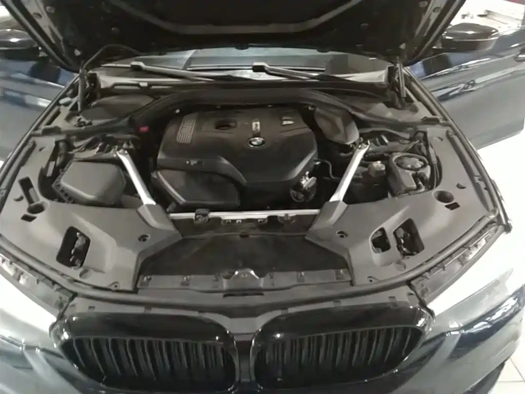 BMW 5 Series 2019 530Li Leading M Sport Package фото 17